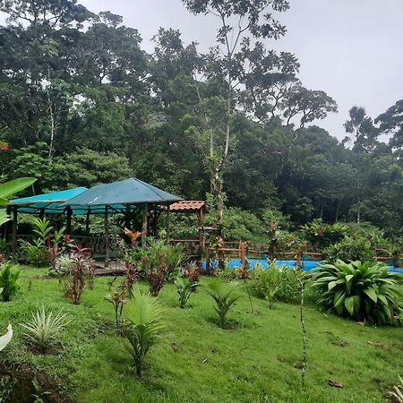 Oski Lodge, Rain Forest Rincon De La Vieja Upala Exterior foto