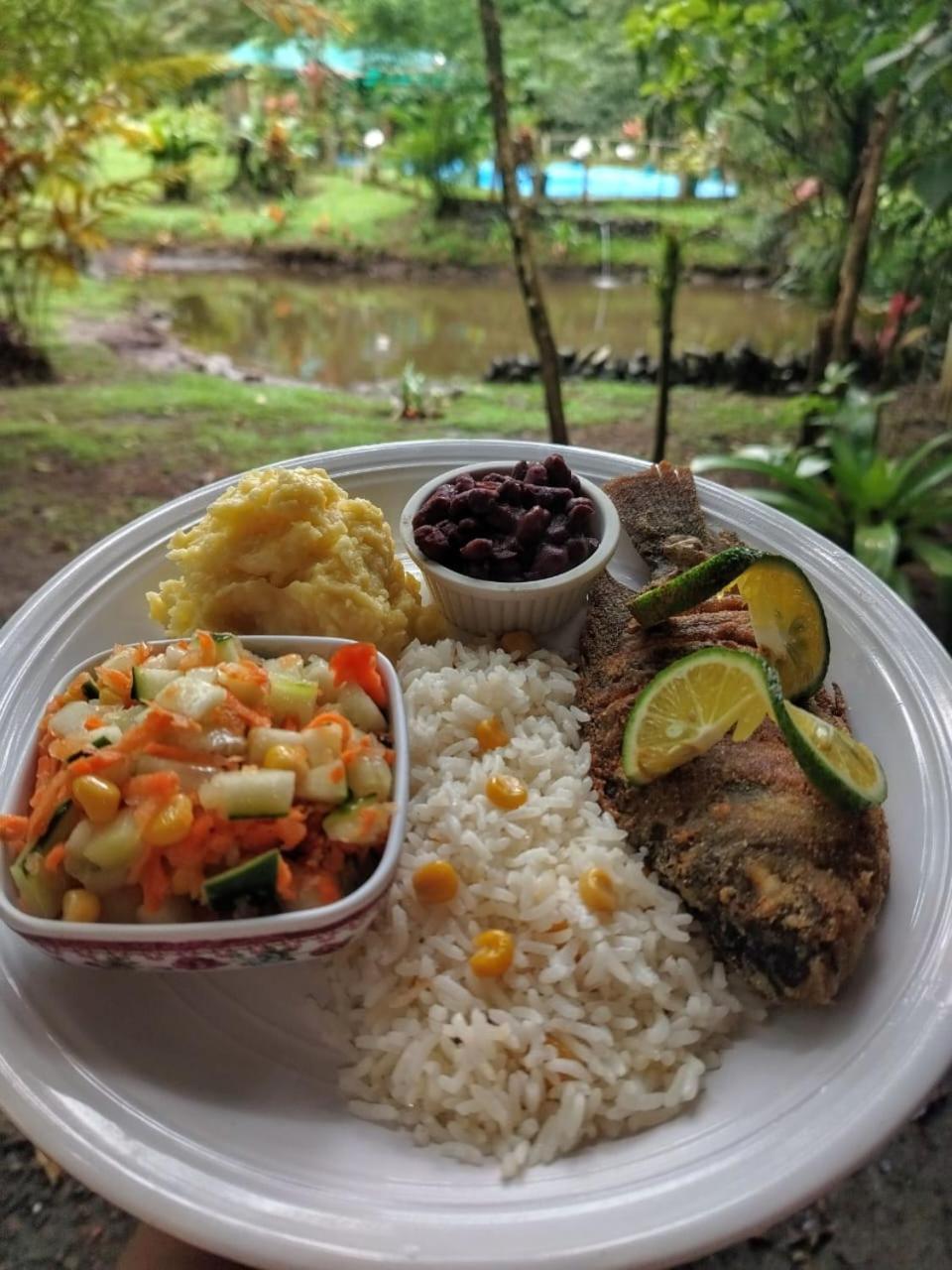 Oski Lodge, Rain Forest Rincon De La Vieja Upala Exterior foto